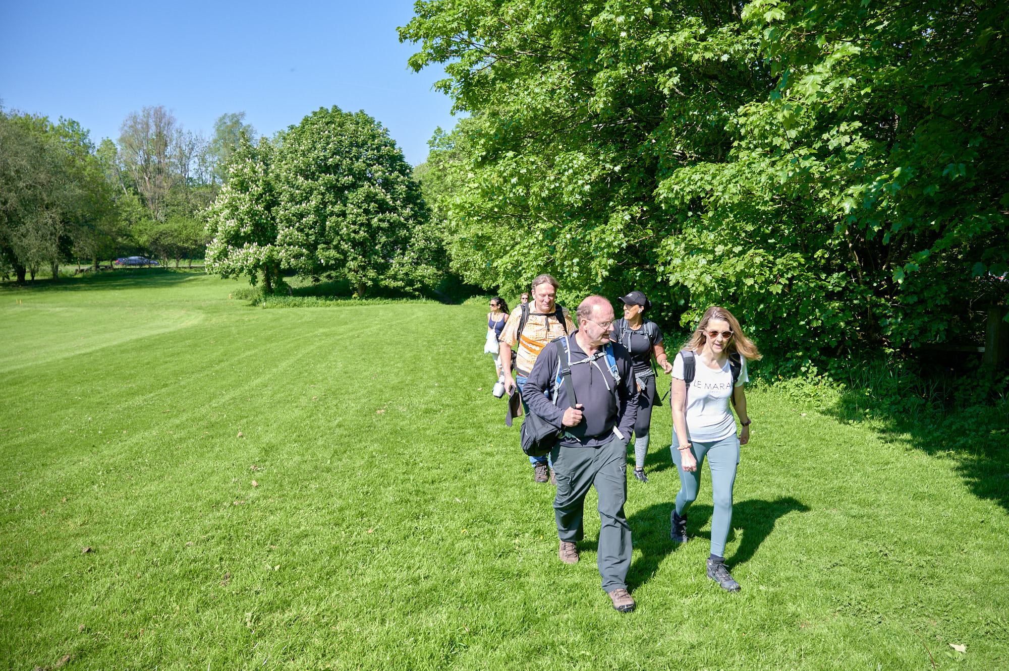 Spring Wood and Whalley walk
